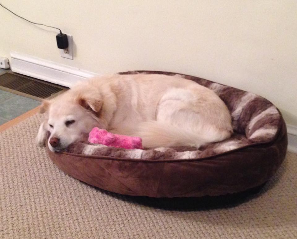 17309221_10211334984062938_3677088791034689337_n