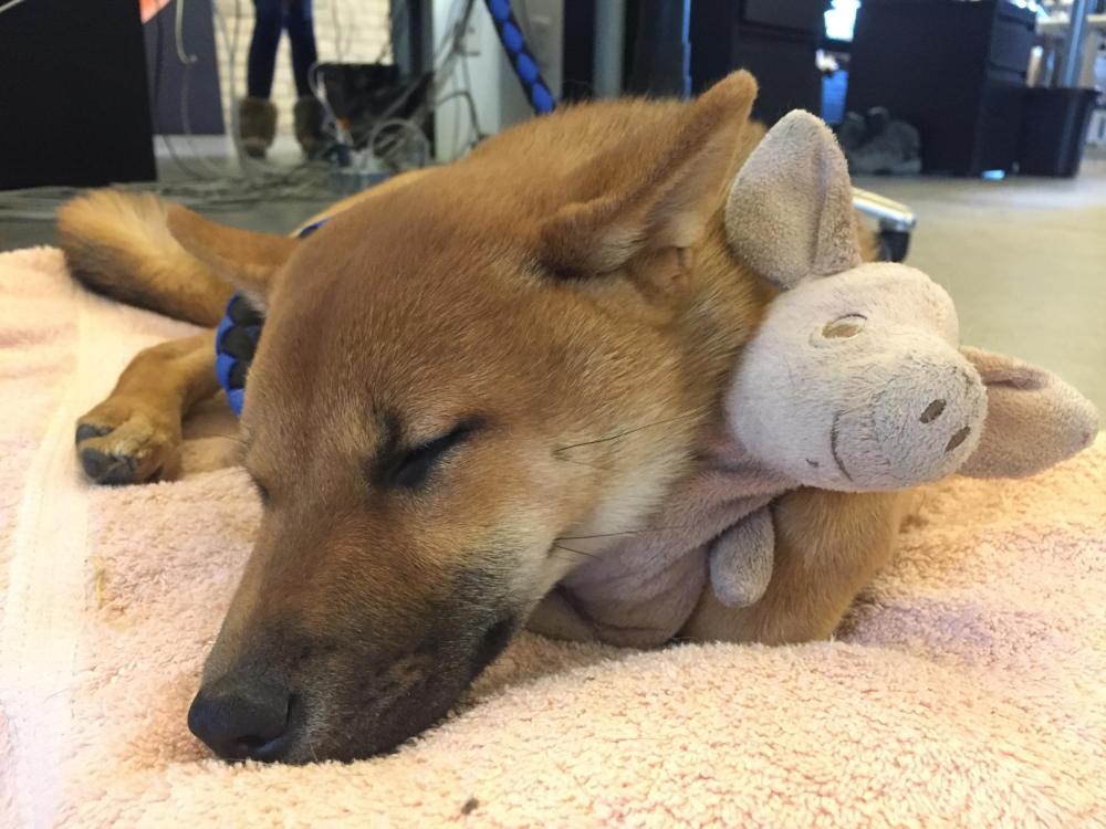 17310021_10154968677775435_2313971998677157064_o