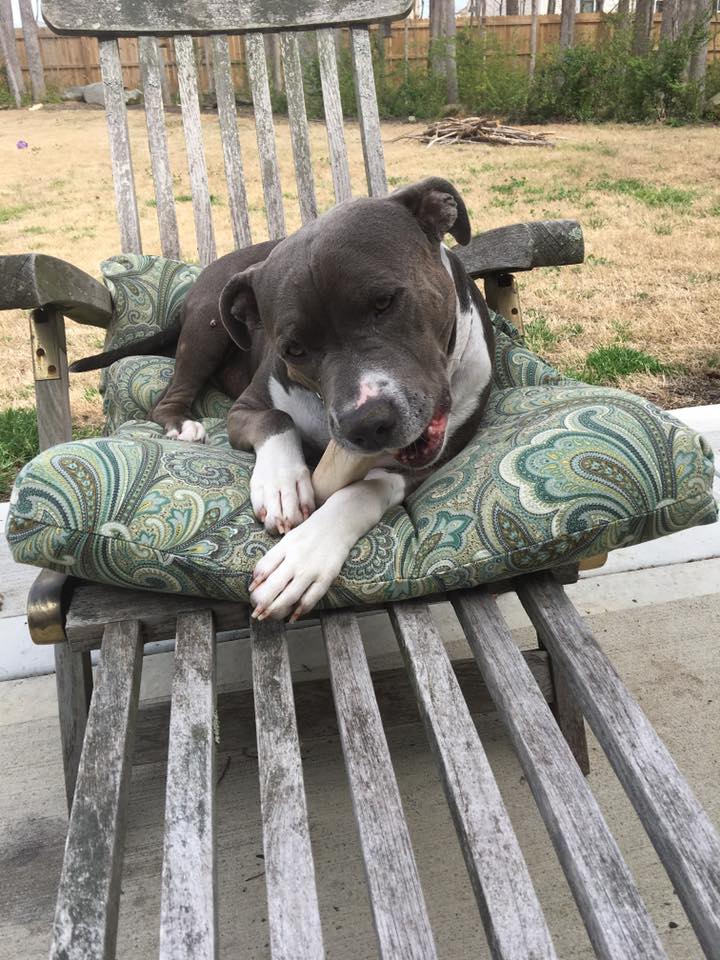 17424703_10208796453485209_763196383978305699_n-2