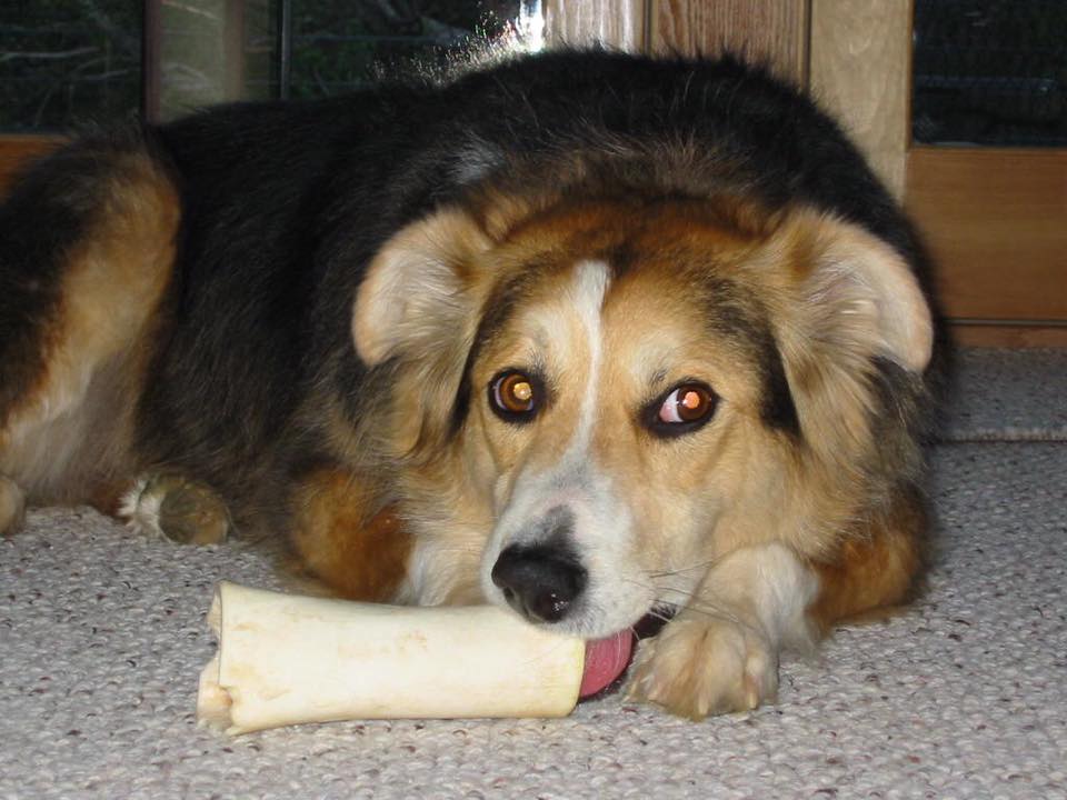 17425161_10209891320294579_6744914165191970612_n