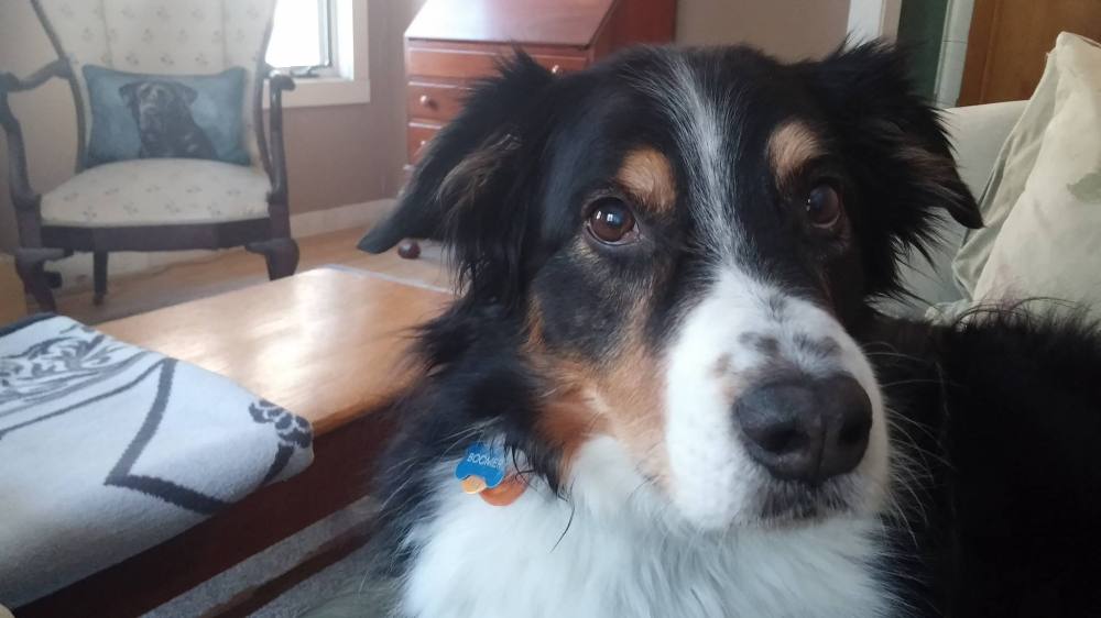 17493225_10210615084347665_5156180705613816206_o