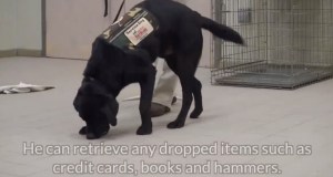 Screen Shot 2017-03-22 at 1.47.59 PM