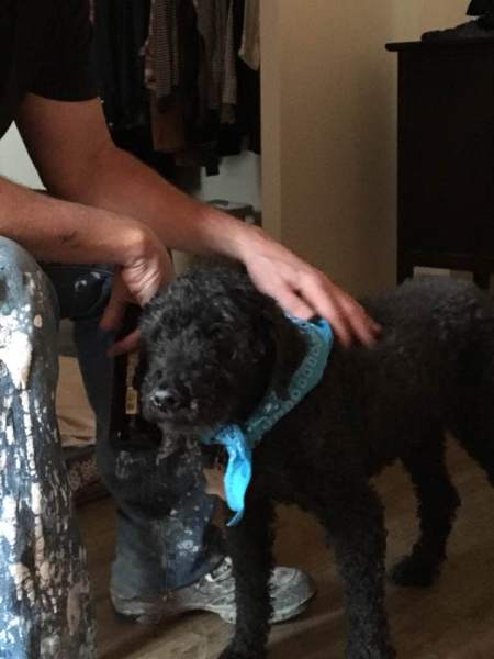 28056283_10156130850921407_3444412315520744499_n