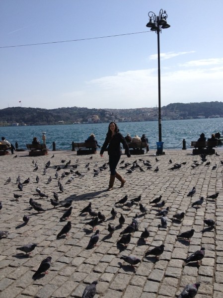 Istanbul, D and pigeons