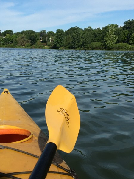 98CCB3C4-DC19-4DF8-B68C-5B477DC4CFDE